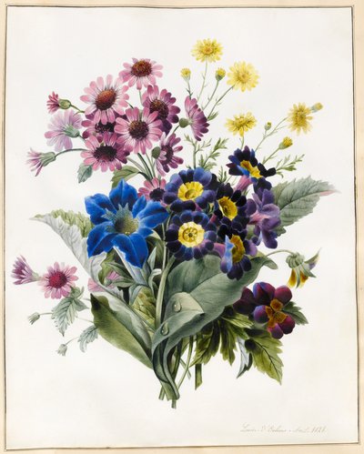 Fiori misti, Aster sp., Auricula, Senecio, Viola, Campanula, Gentiana Acaulis, 1828 da Louise DOrleans